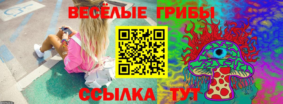 Назрань  Галлюциногенные грибы MAGIC MUSHROOMS  Вход с VPN 
