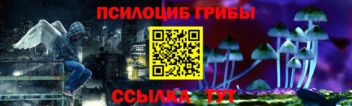 Галлюциногенные грибы Psilocybine cubensis Назрань
